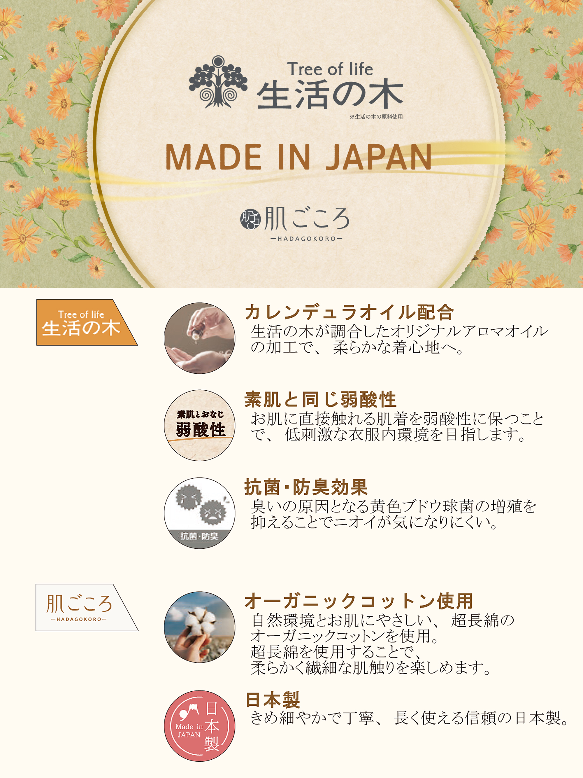 生活の木1