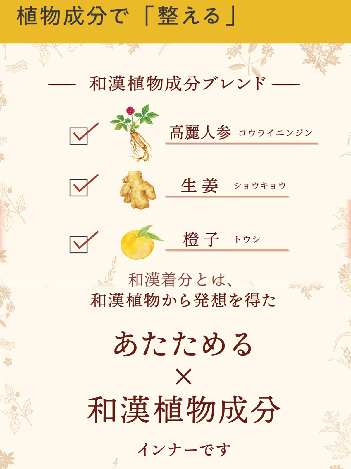 和漢着分