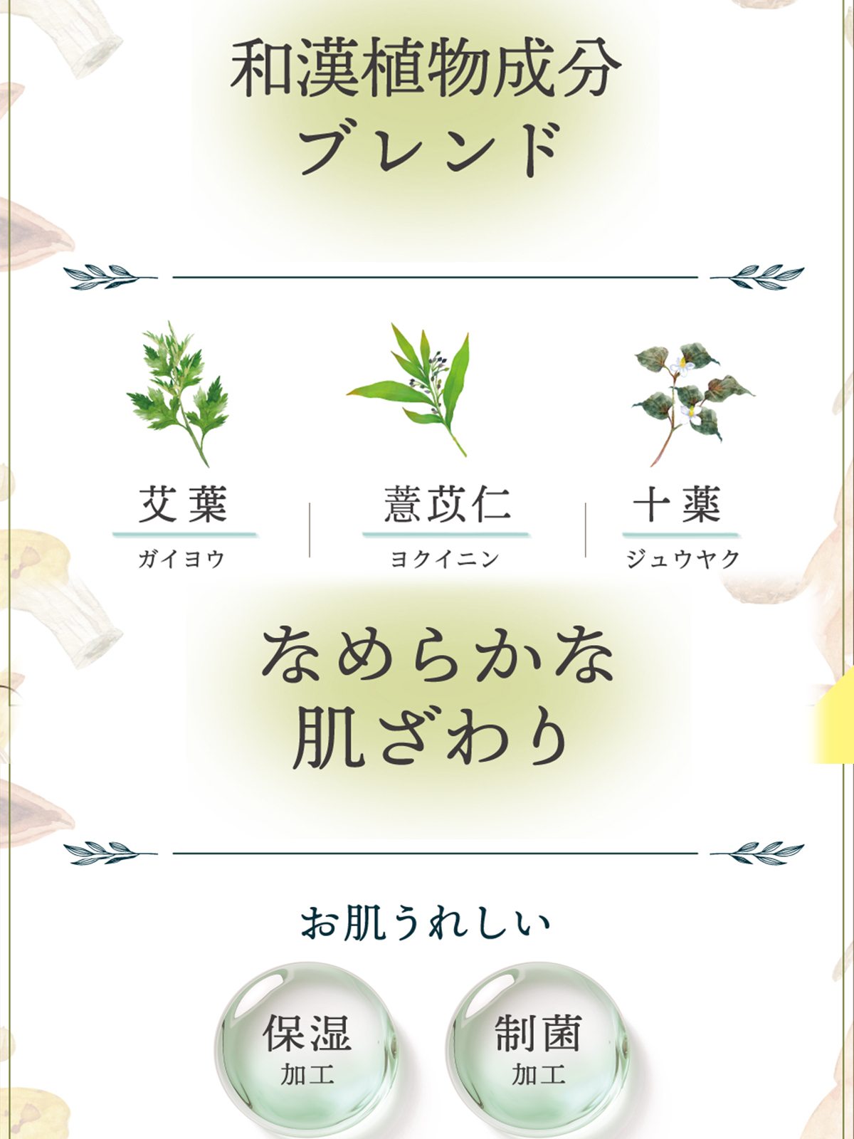 和漢着分