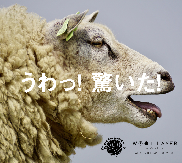 こんなウール100%、初めて。WOOLLAYER