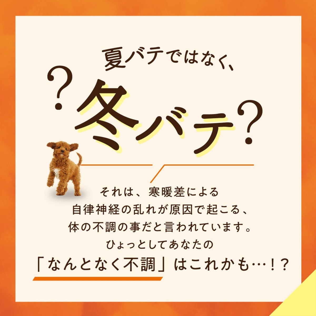 温活cute 腹巻付き１分丈ボトム