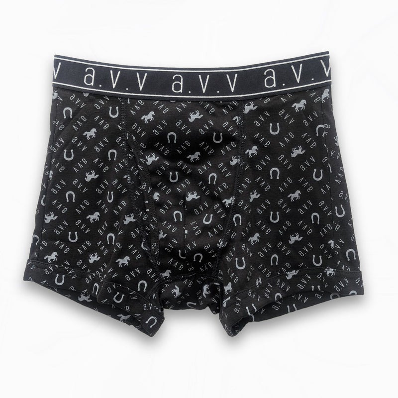 a.v.v ２枚組 前開きボクサーブリーフ M･L･LL